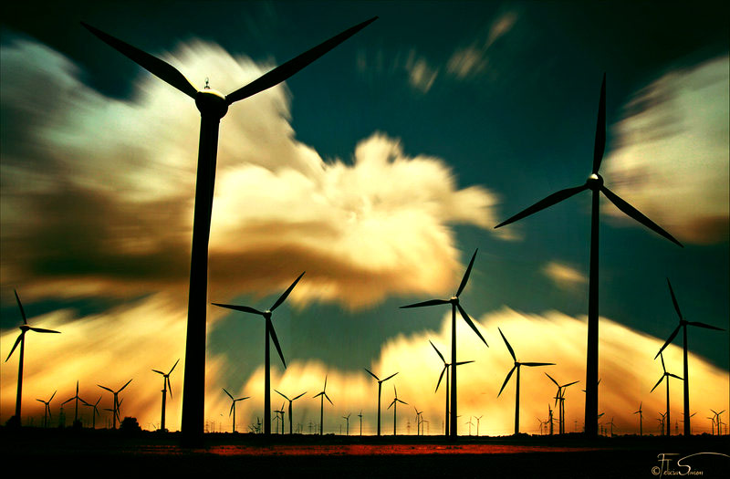 趣味十足的呼死你软件下载