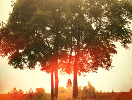 手机轰在线轰炸免费