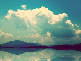 引爆商业潜能的电话测压网页